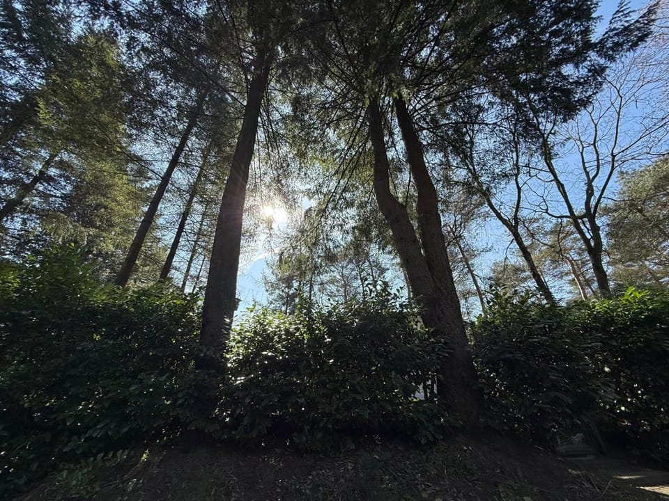 Natural landscape
