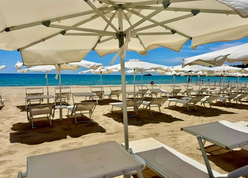 Day, Natural landscape, Beach, Sea view, sunbed