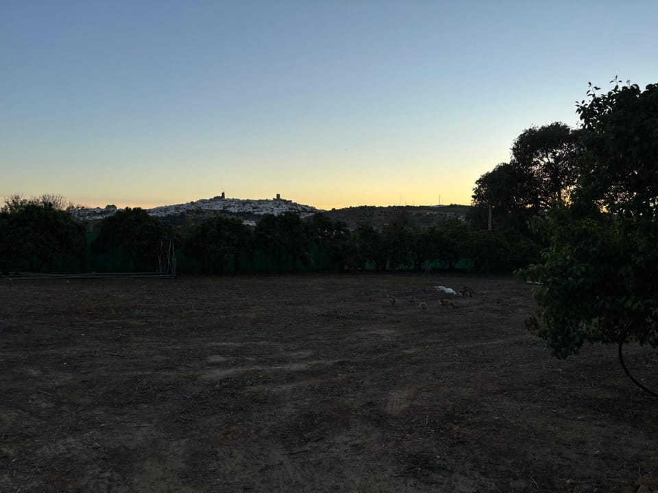 Natural landscape, Sunset