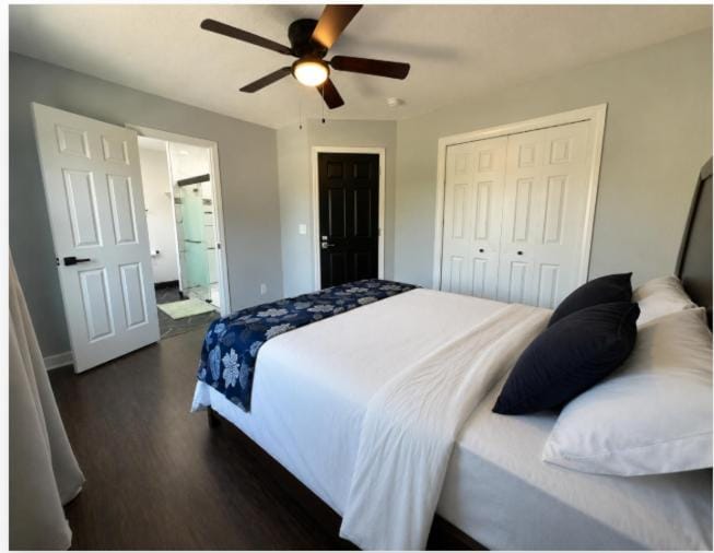 Mt Kilimanjaro Room Private Bath Walk to Cleveland Clinic Vacation rental in Cleveland Heights