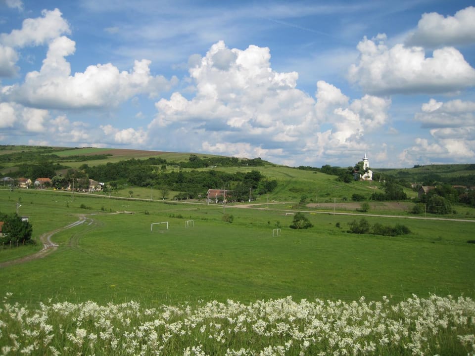 Area and facilities