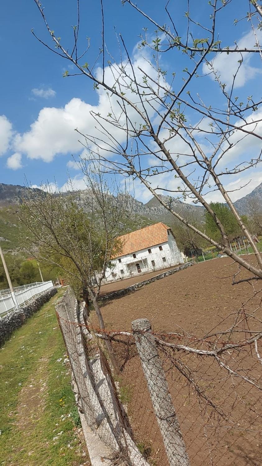 Avdi kola guesthouse Vacation rental in Europe