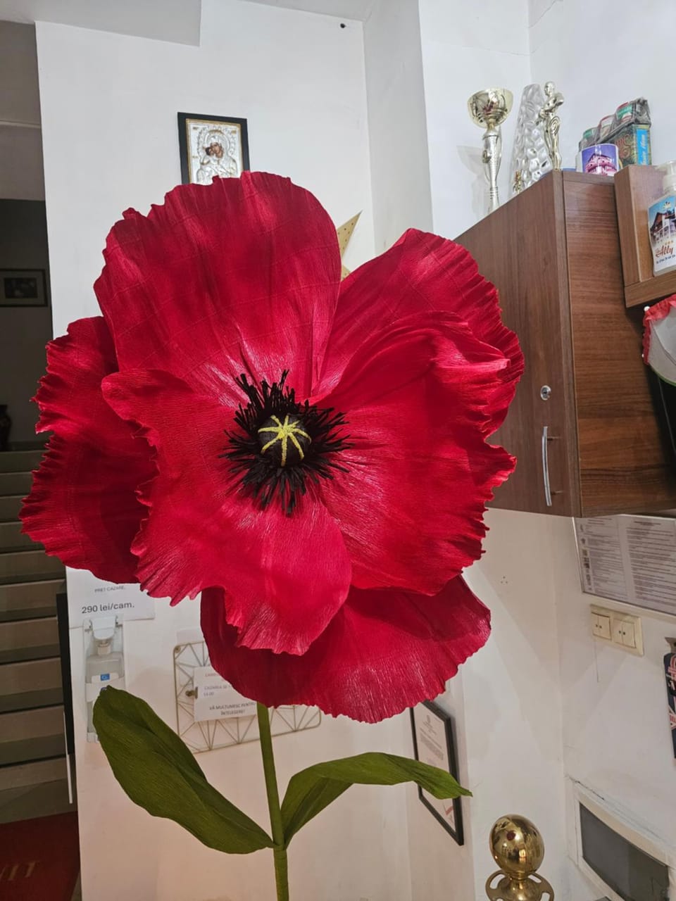 Vila Nicoleta Bed and Breakfast in Romania