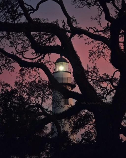 3BR Coastal Charm Near St Simons and FLETC House in Brunswick