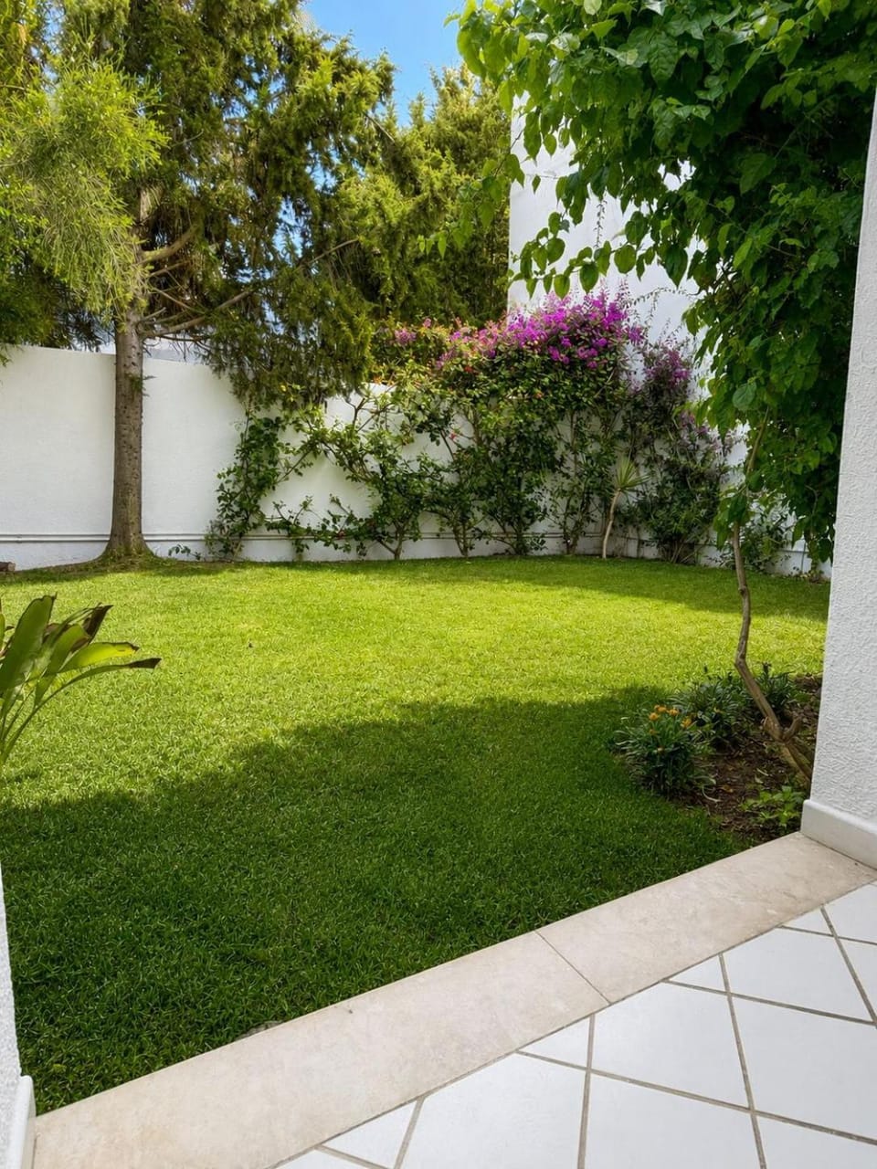 Garden, Balcony/Terrace, Garden view