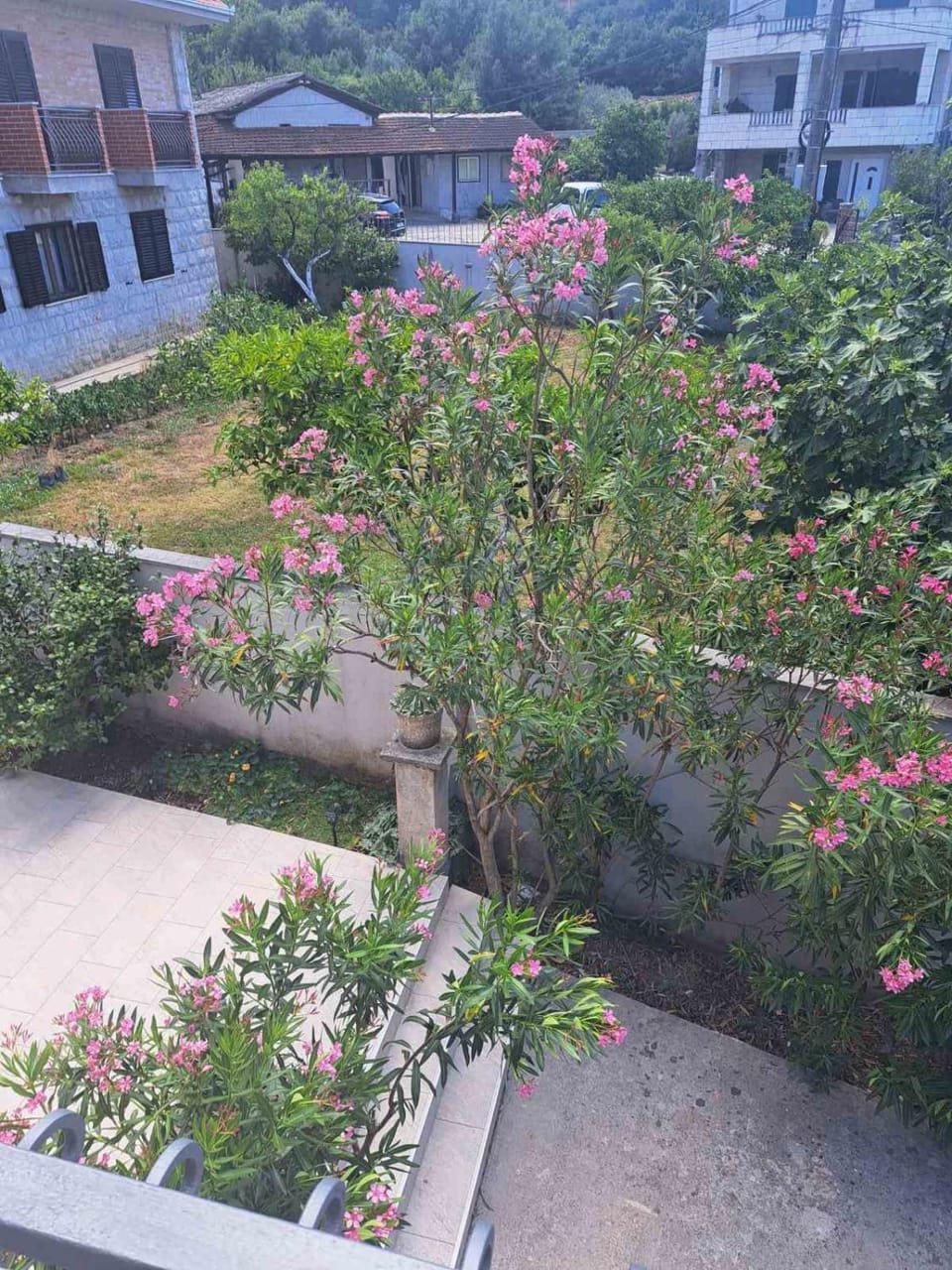 Garden, View (from property/room), Garden view