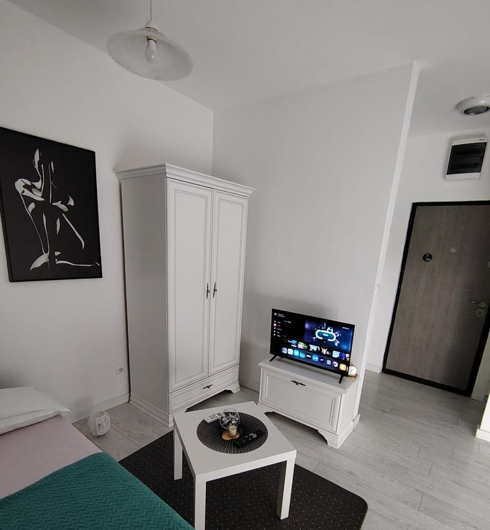 Tanja Apartment Apartment in Podgorica