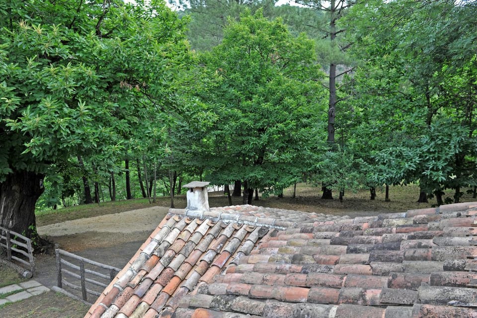Mas de Playsse House in Occitanie