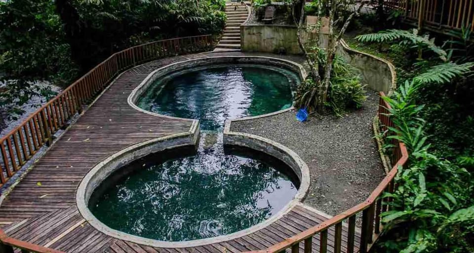 Tokio Bed and Breakfast in Choco, Colombia
