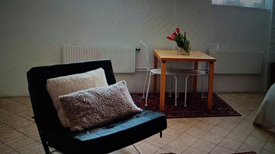 Malmo Spacious Villa - With Pool Apartment in Malmo