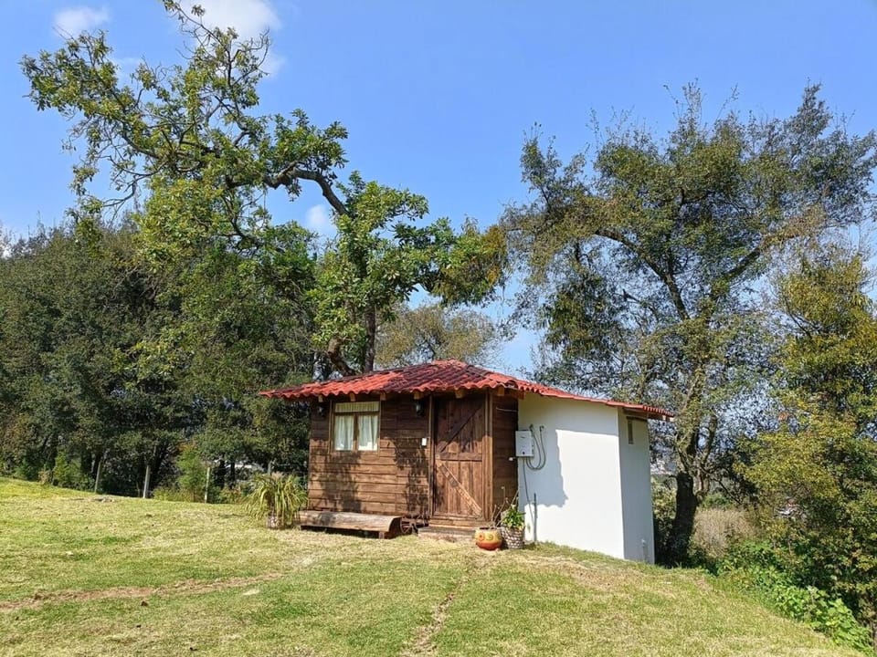 San Pedro Atmatla Zacatlan Cabins Cabin in State of Puebla
