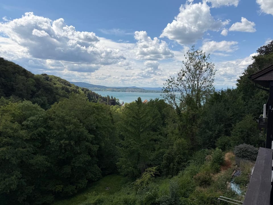 Zimmer im Grünen mit Balkon und Blick auf den See Apartment in Switzerland
