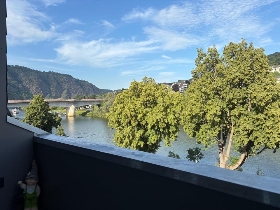 Carpe Diem Moselblick Apartment in Cochem-Zell