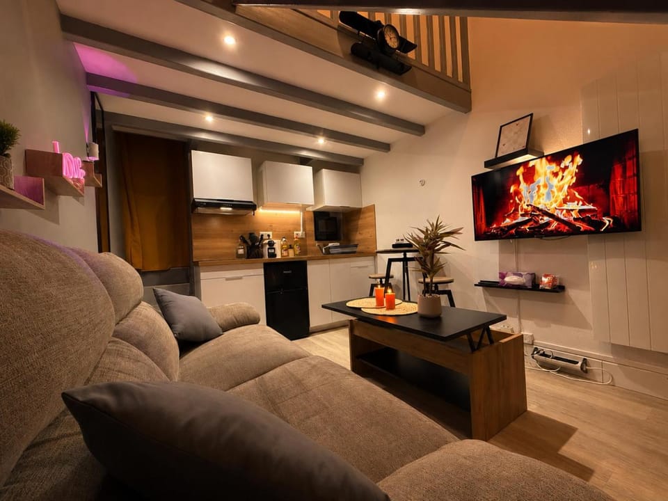 Le Nid Vaillant - Proche Gare & Parking gratuit - Netflix Apartment in Tours