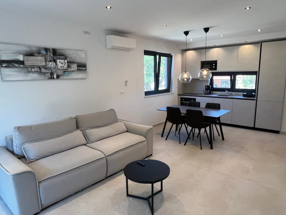 Kitchen or kitchenette, Living room, Seating area, Dining area, oven, air conditioner