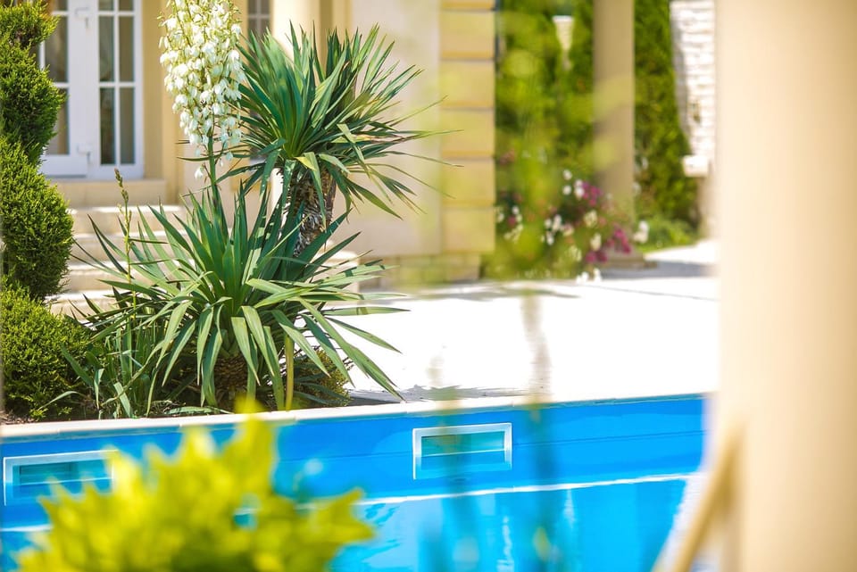 Garden, Swimming pool