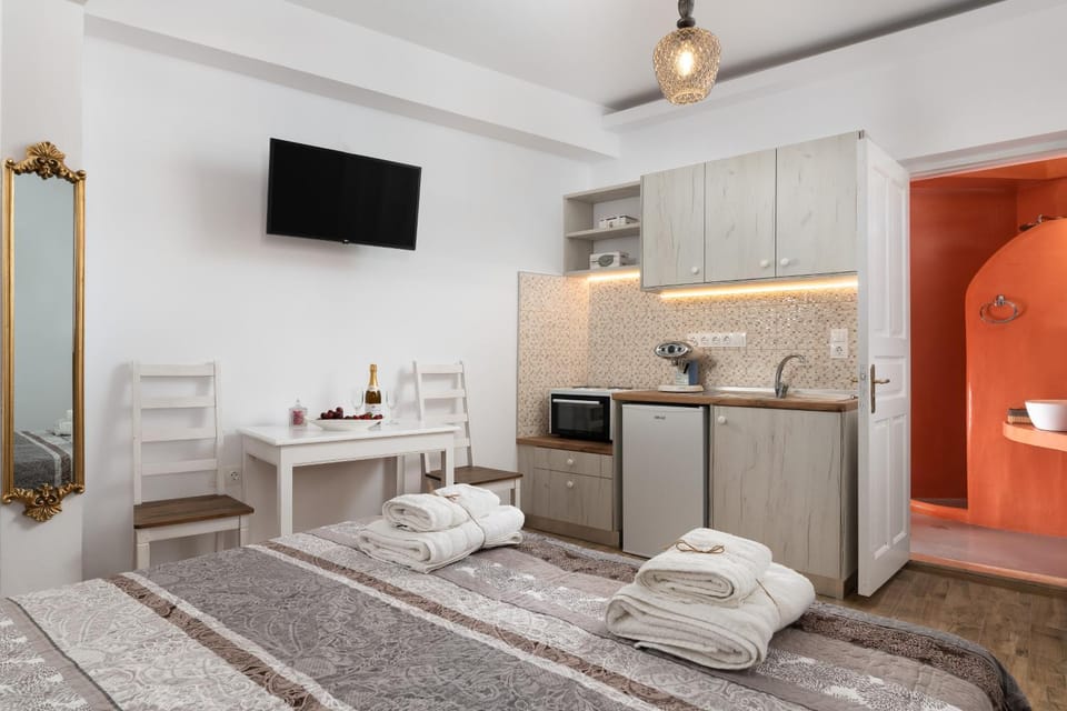 Bed, TV and multimedia, Coffee/tea facilities, Kitchen or kitchenette, Living room, Photo of the whole room, Seating area, Dining area, Bedroom, pet friendly, stove, towels