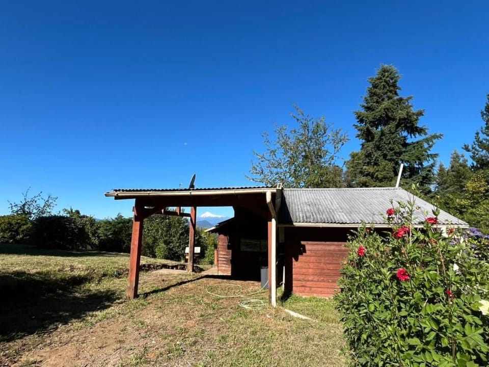 Day, Garden, Garden view