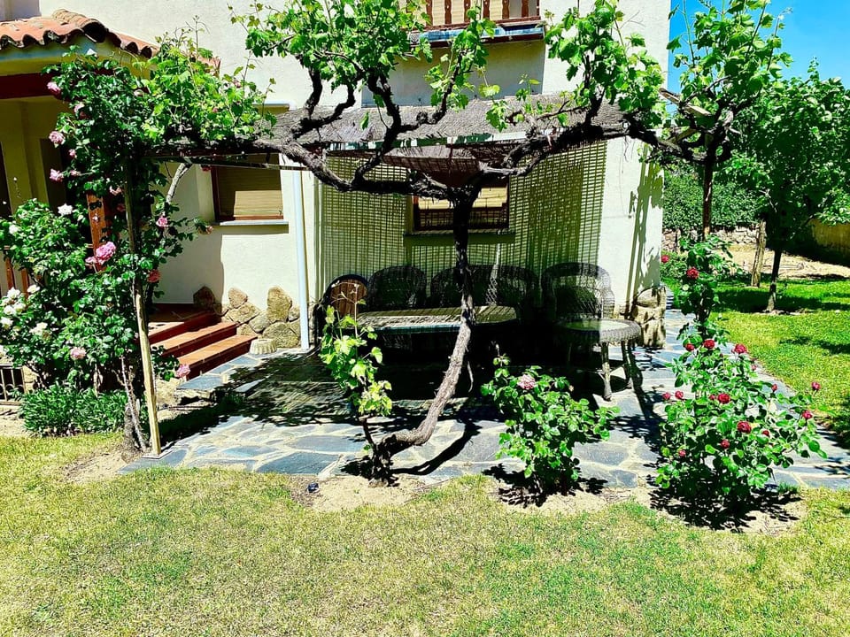 La Casa Del Abeto Azul House in Ávila‎