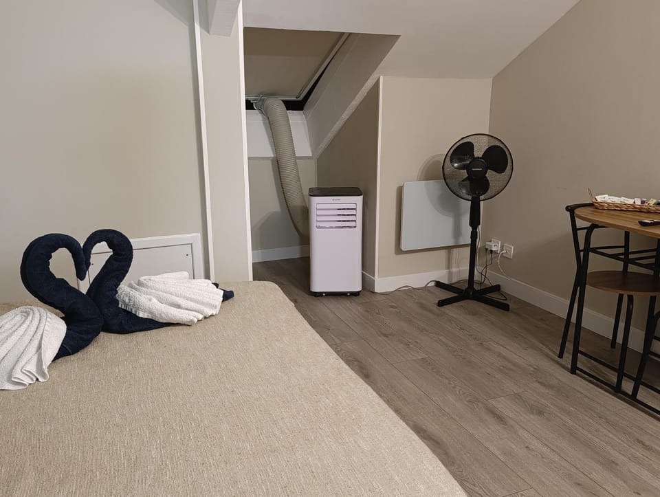 Studio Havane avec clim et ascenseur Apartment in Vosges