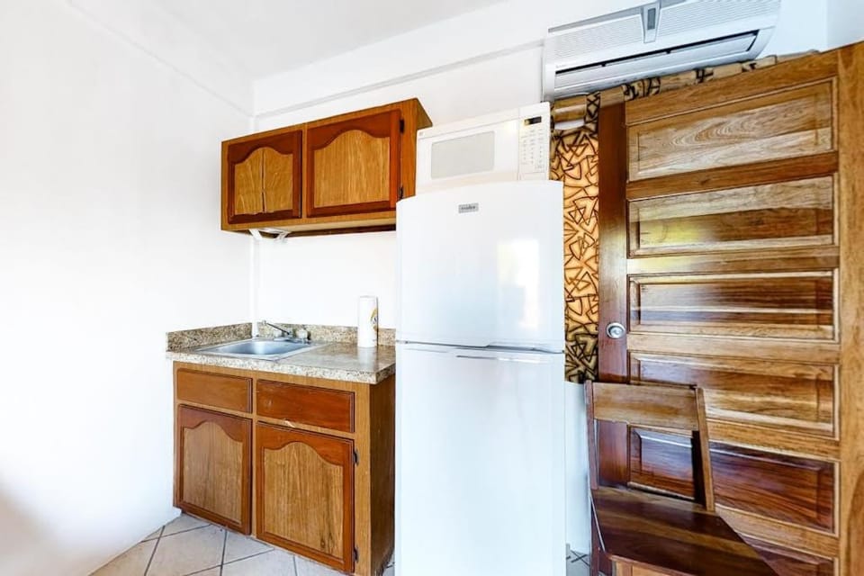 Affordable Suite with WiFi Partial AC Shared Rooftop Deck Pool and Grill Apartment in Belize District