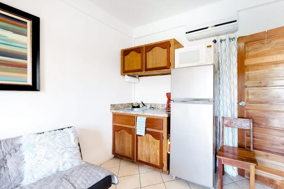 Charming Suite with WiFi AC Shared Pool Grill Area & Rooftop Deck Apartment in Belize District