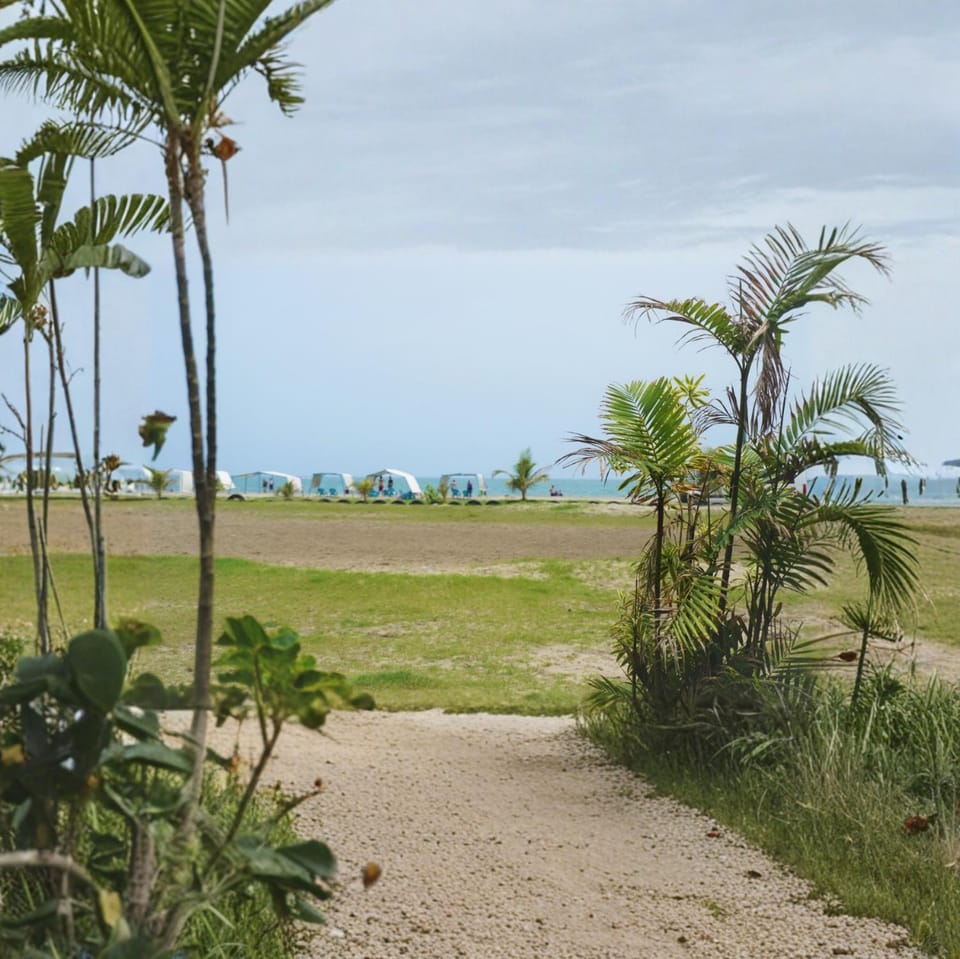 Spring, Day, Natural landscape, Sea view