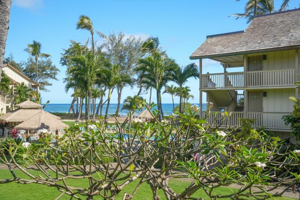 Islander on the Beach 242 Apartment in Waipouli Beach