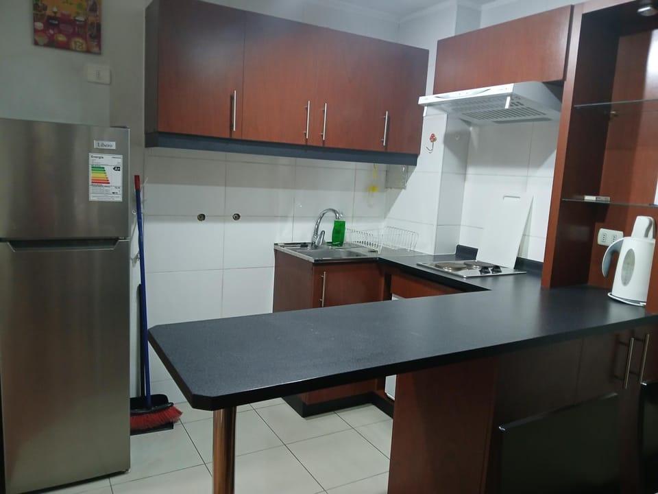 Apart Latitud Sur Apartment in Santiago