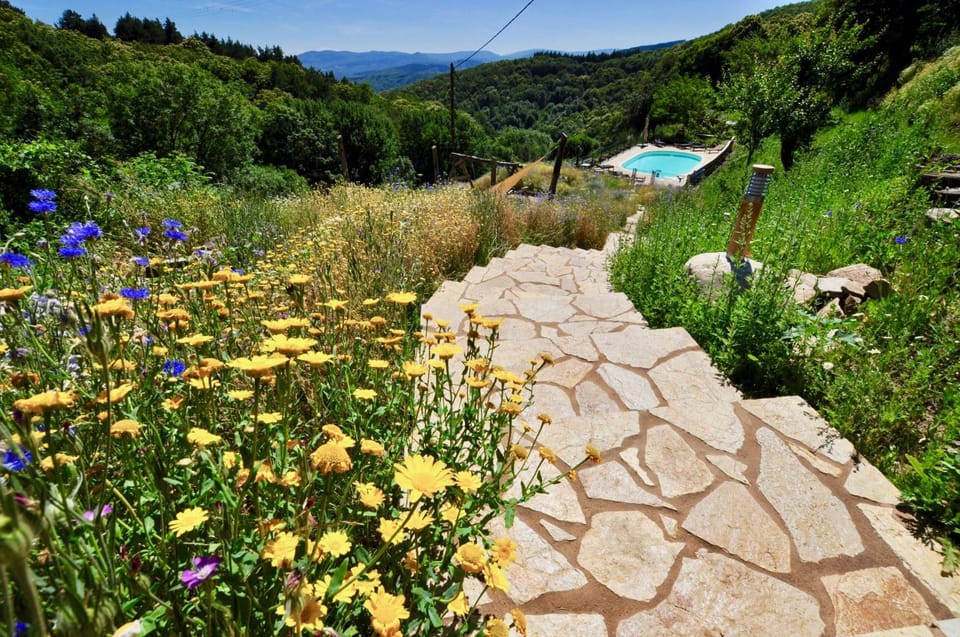 Property building, Natural landscape, Garden, Garden view, Mountain view