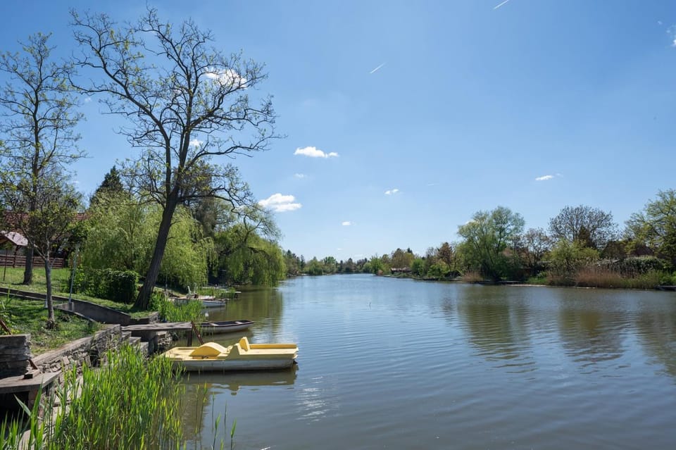 Lake view