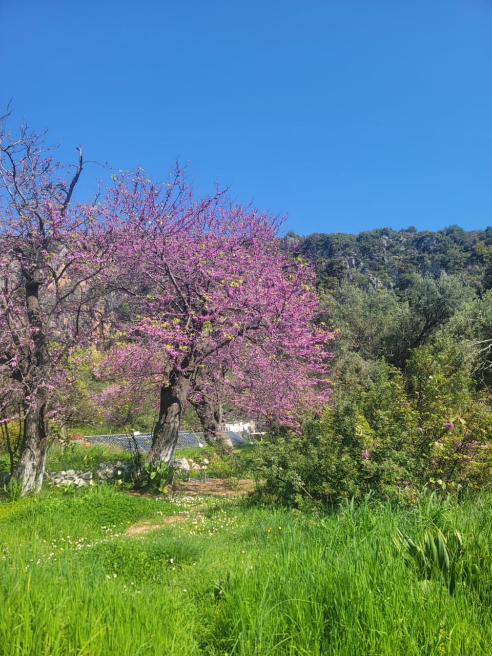 Gjipe eco campground 2 Campground/ 
RV Resort in Vlorë County, Albania