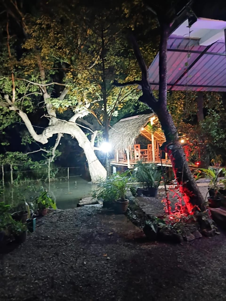 Garden view