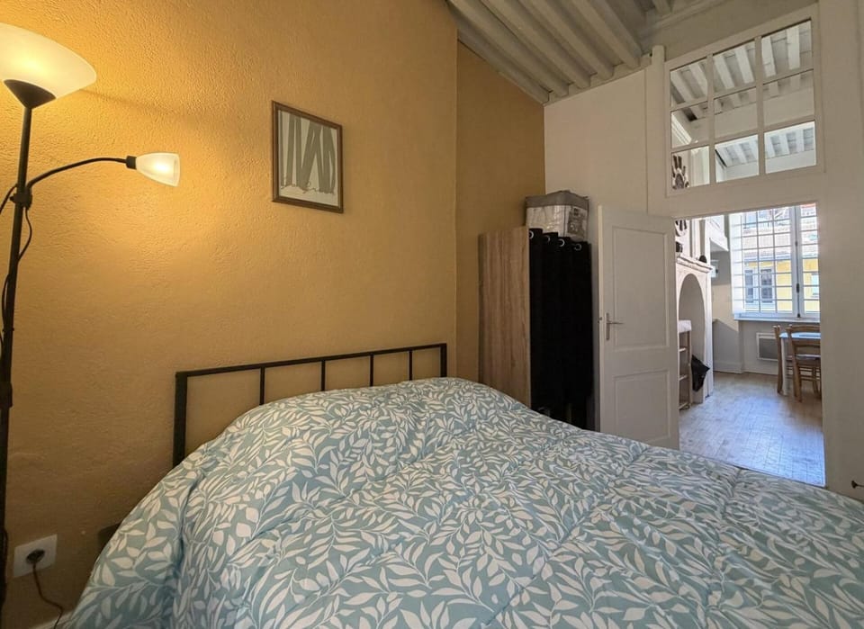 Entire apartment in the historic heart of the city Apartment in Auvergne-Rhône-Alpes