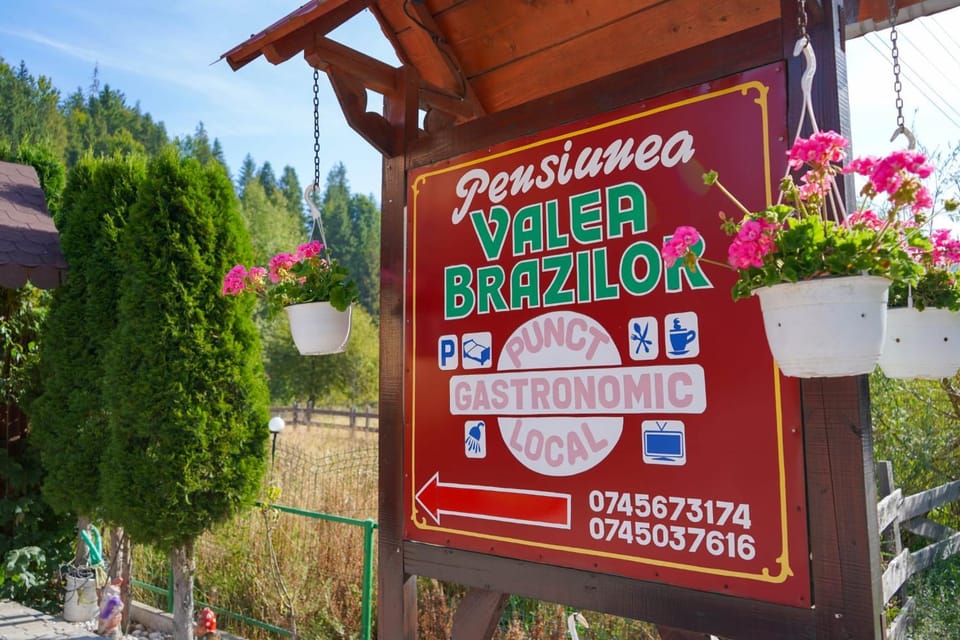 Pensiunea Valea Brazilor Bed and Breakfast in Cluj County
