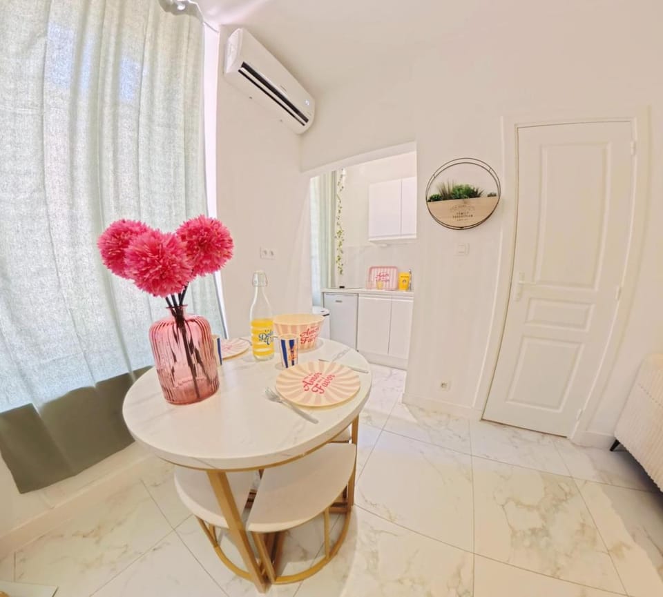 Beautiful refurbished air conditioned studio heart of Nice Apartment in Nice