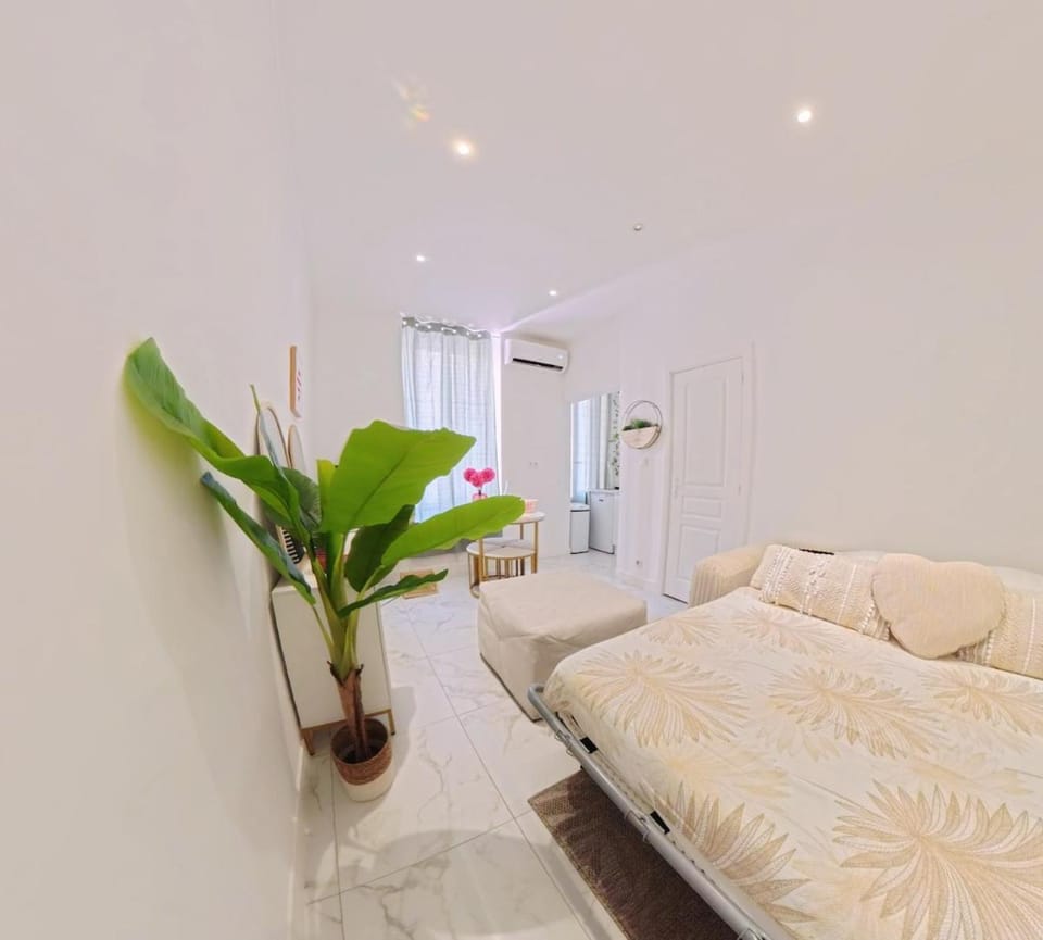 Beautiful refurbished air conditioned studio heart of Nice Apartment in Nice