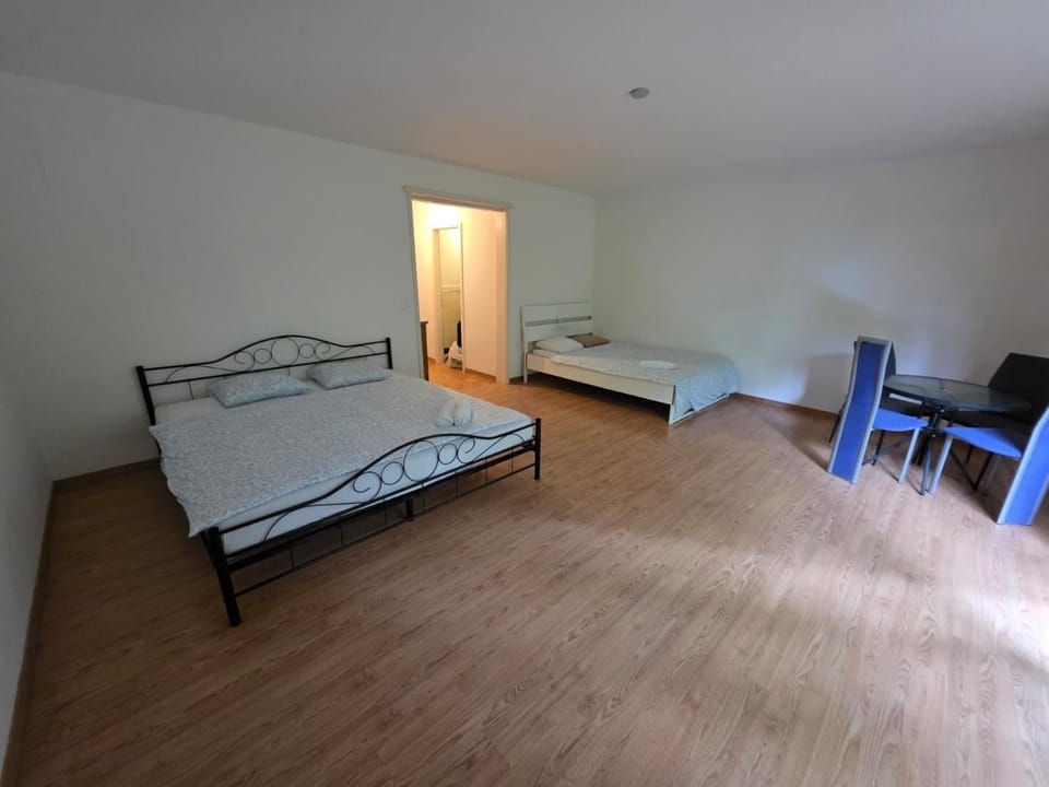 Zurich Center Flats with Balcony - RigiC Apartment in Zurich City