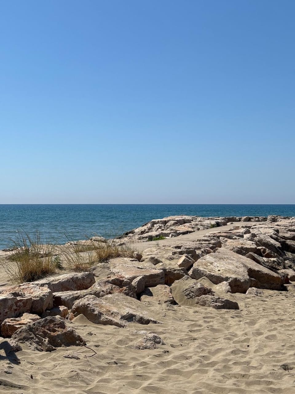 Sea view