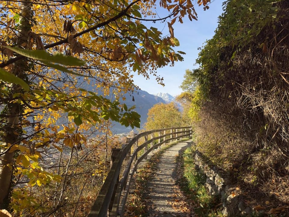 Natural landscape