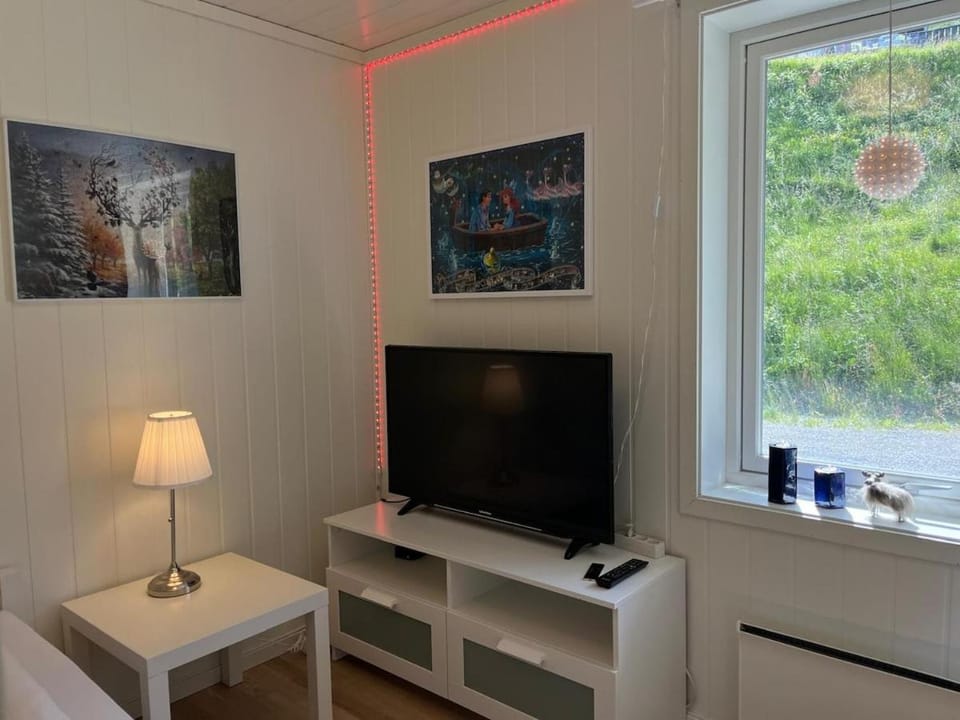 Luxury Norwegian Mountain View Apartment - Balcony Apartment in Vestland