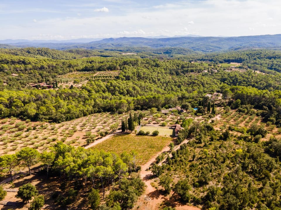 Natural landscape, Bird's eye view, Garden