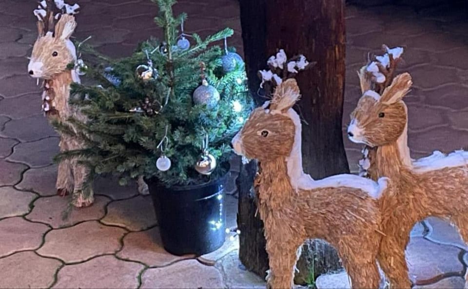 Zewwelatreppler - La Grange aux Petits Oignons - Chambre La Grenouillère Apartment in Sélestat