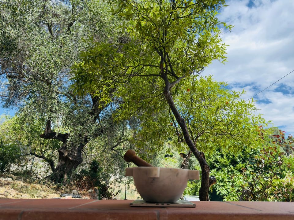 Natural landscape, Garden, Garden, Garden view