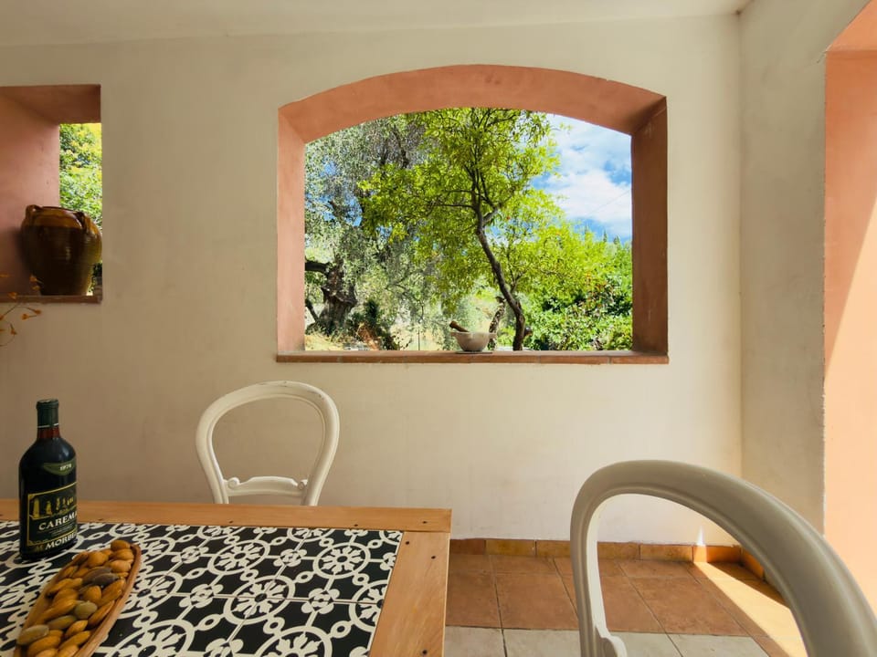 Patio, Garden, Dining area
