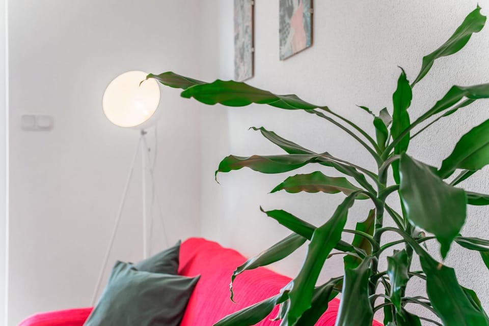 Cozy new flat for 2 or 3 Apartment in Hvar
