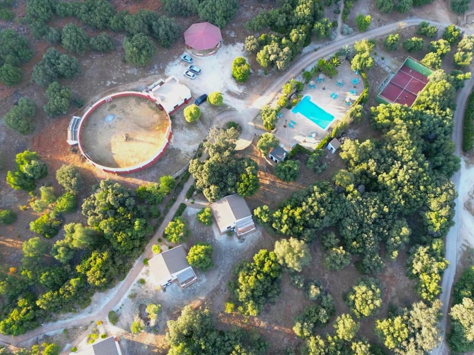 Evans Realty DA - Tragabuche - Piscina & Padel House in Andalusia