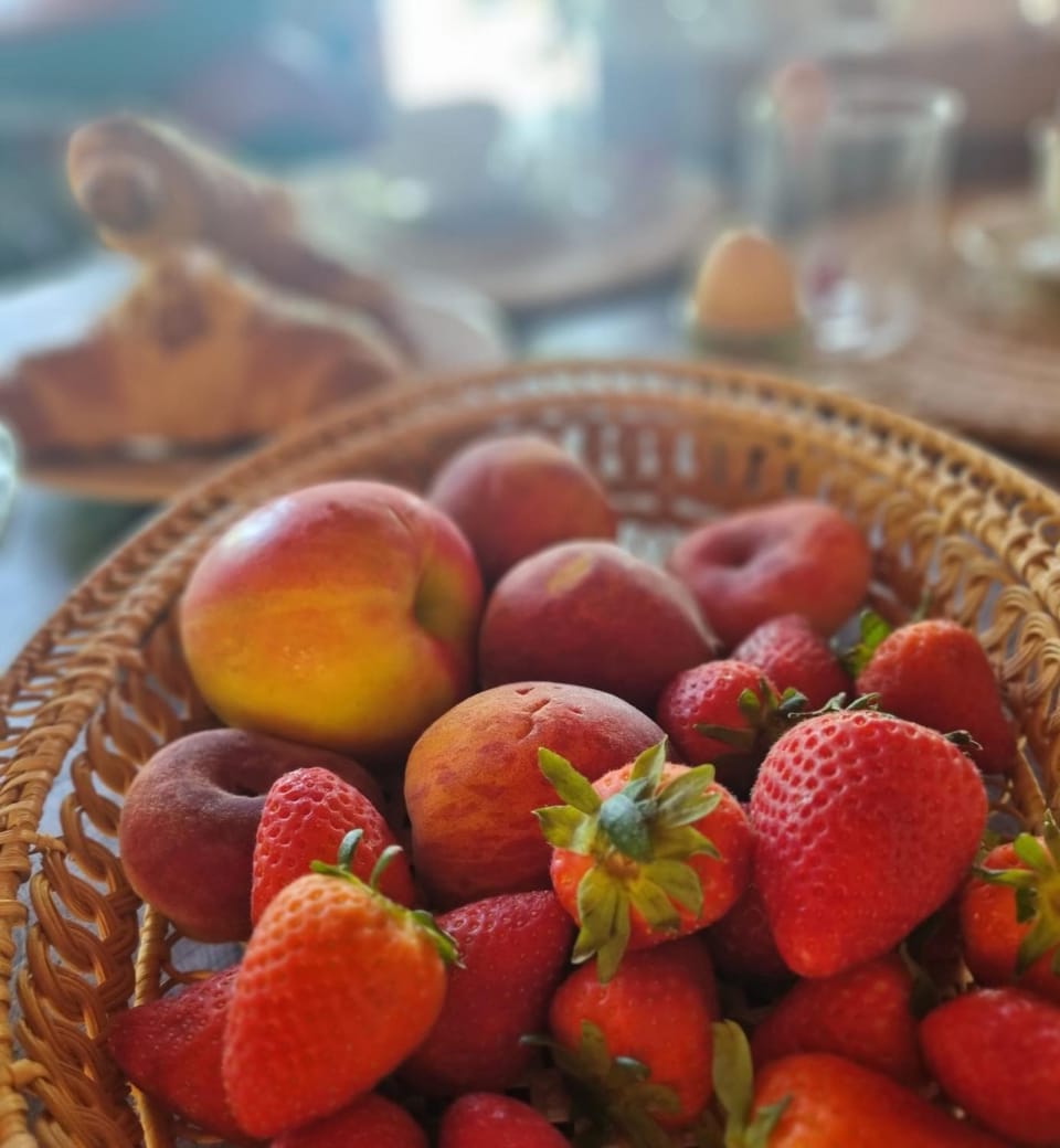Cascina Rocchino bed and breakfast Bed and Breakfast in Piedmont