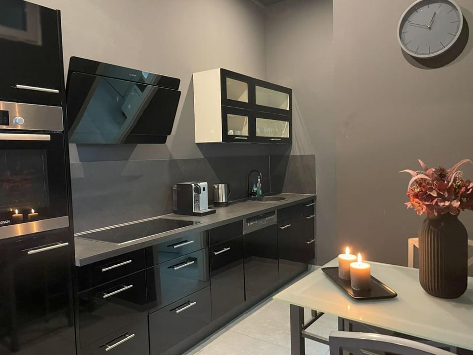 Refugium - Design Apartment with Private Whirlpool & Terrace by Fetischhaus Wiesbaden Apartment in Wiesbaden
