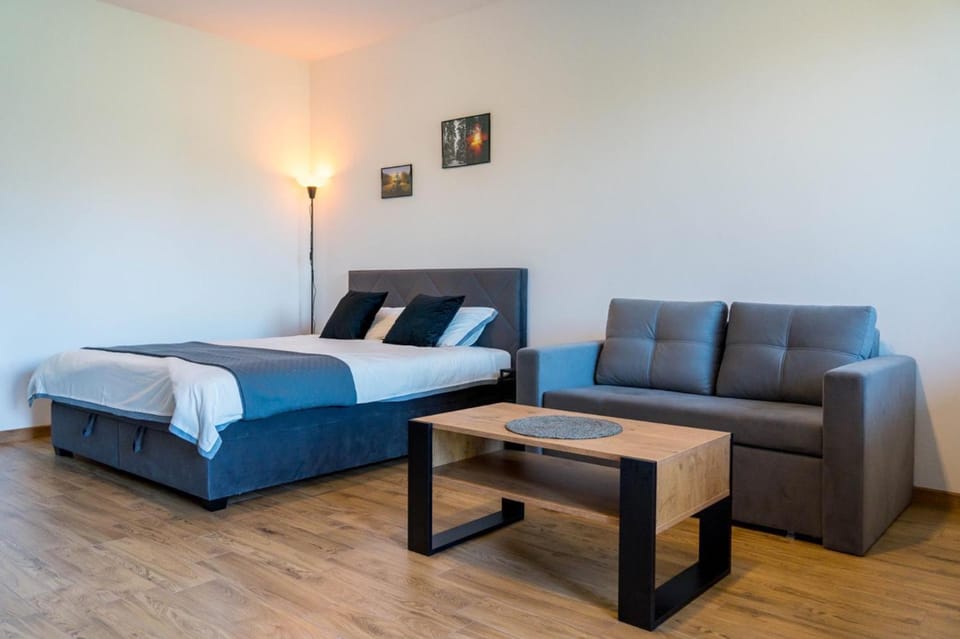 Bed, Living room, Photo of the whole room, Seating area, Bedroom